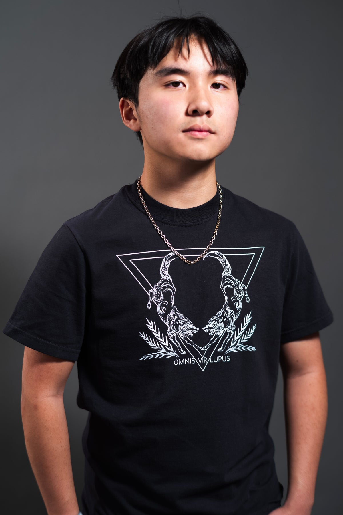 Omnis Vir Lupus Unisex Shirt