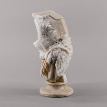 Load image into Gallery viewer, CRYSTALIZED EDITION / The Bust of Silenius au Lune
