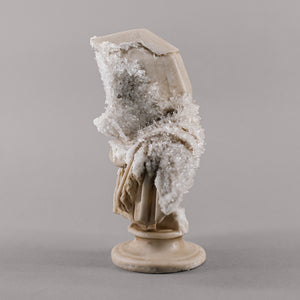 CRYSTALIZED EDITION / The Bust of Silenius au Lune