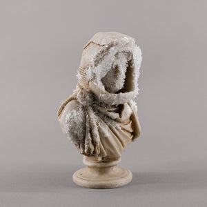 CRYSTALIZED EDITION / The Bust of Silenius au Lune
