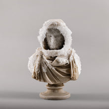 Load image into Gallery viewer, CRYSTALIZED EDITION / The Bust of Silenius au Lune
