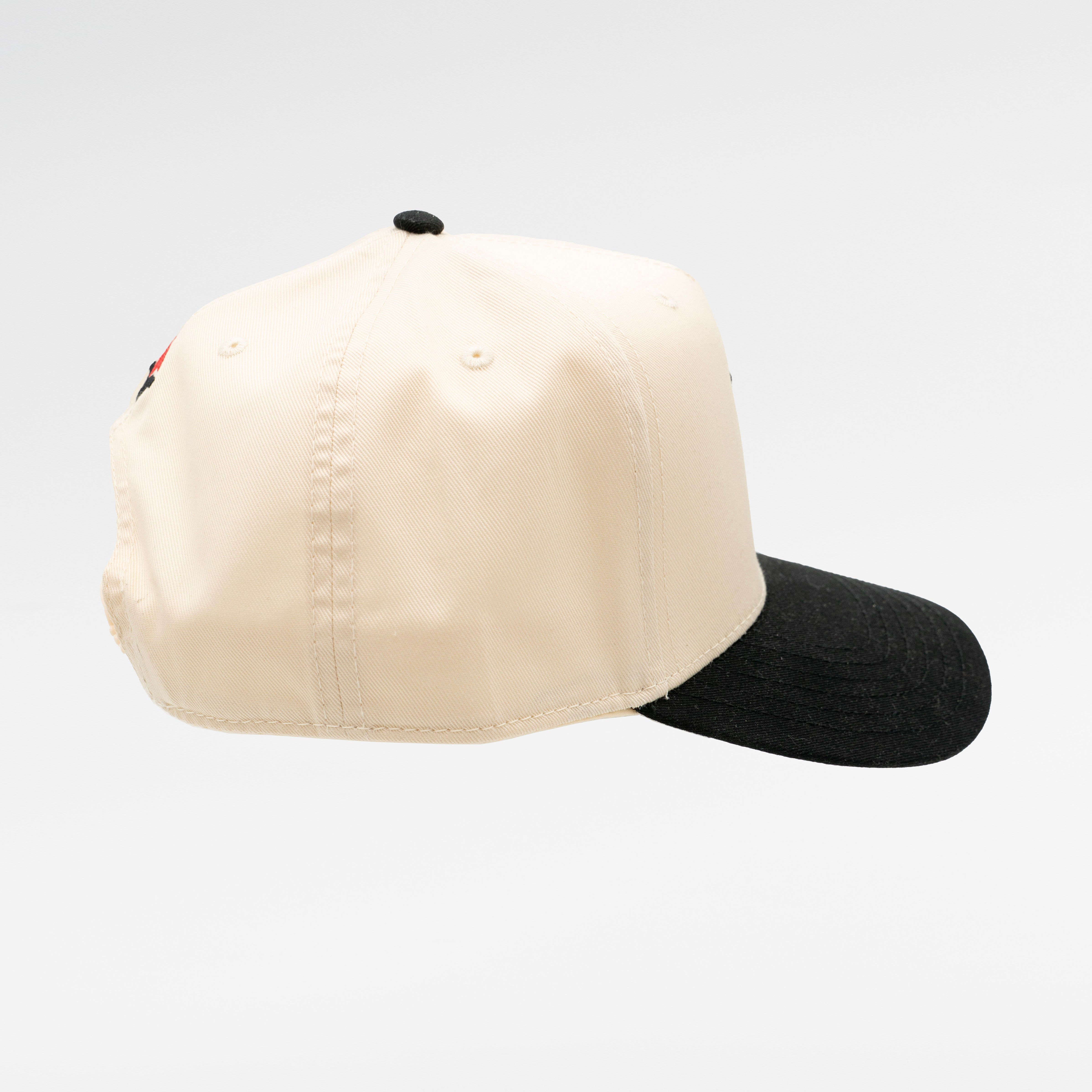 Pegasus Legion Hat