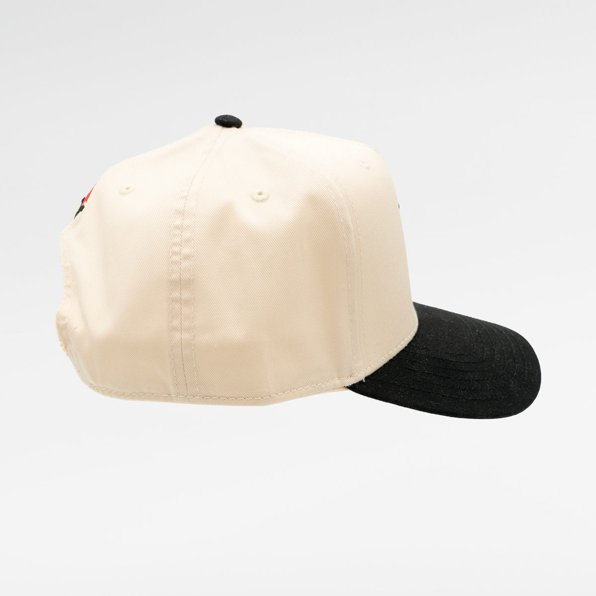 Pegasus Legion Hat