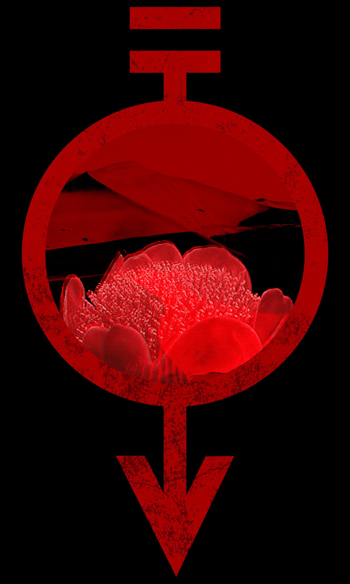 Black shirt featuring the Red Haemanthus flower inside the Red sigil